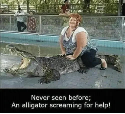 never-seen-before-an-alligator-screaming-for-help-a-girl-39740888.webp