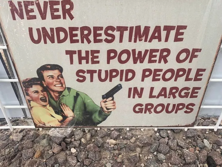 never underestimate stupid people lagre groups.webp