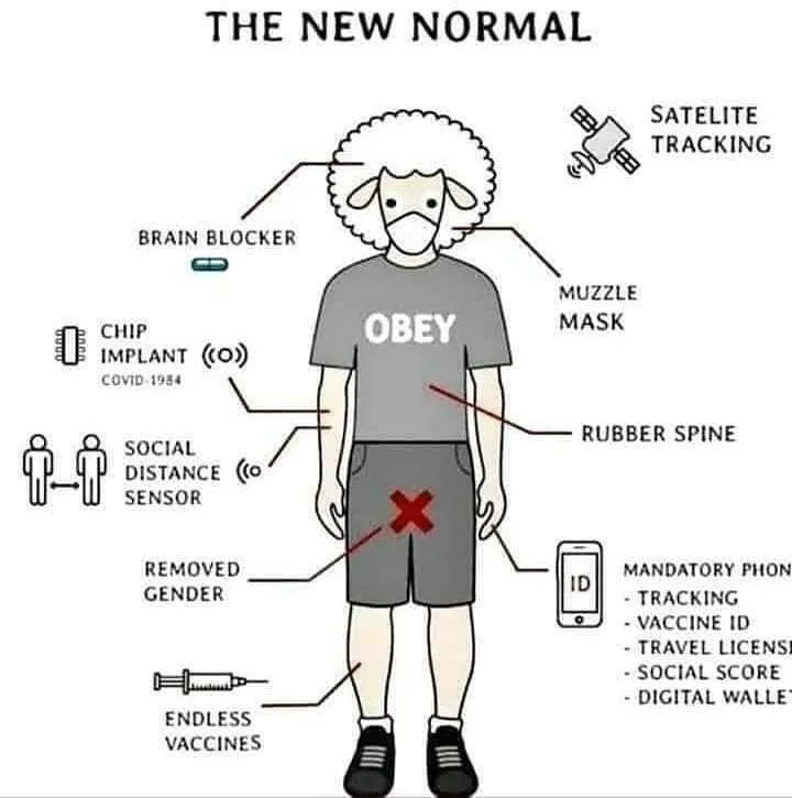 NewNormal.webp