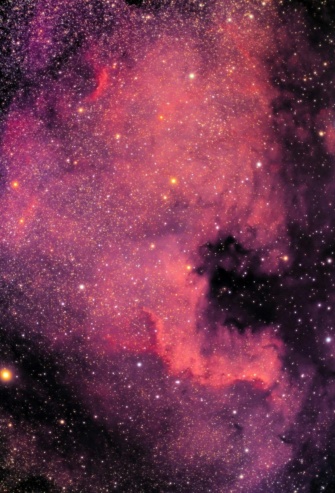 NGC7000 calibratedmar292021adjust2lessred copy3.webp