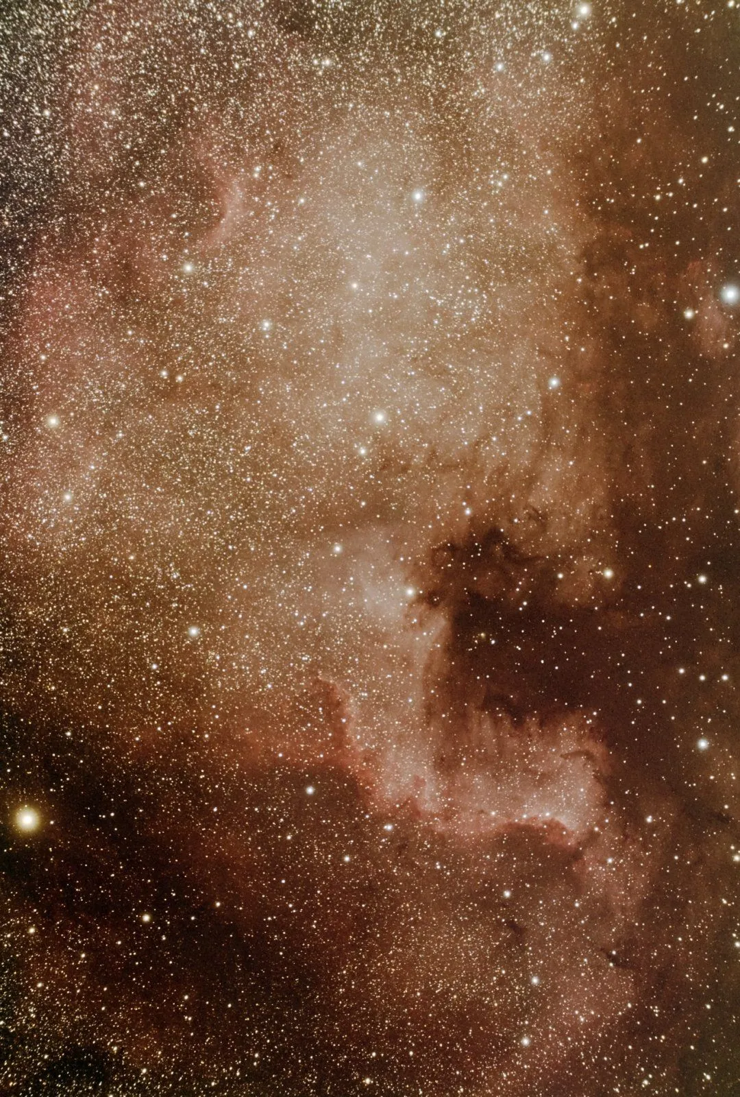 NGC7000 calibratedPSP.webp