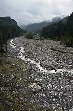 Nisqualy#0557.webp