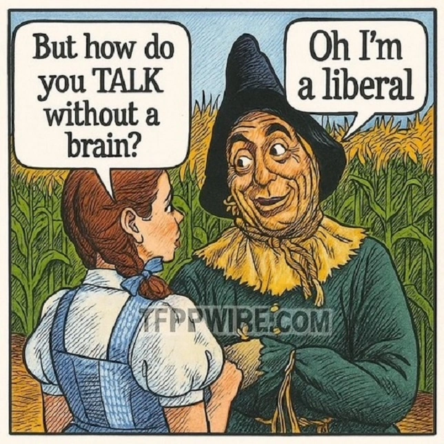 NO BRAIN SCARECROW.webp