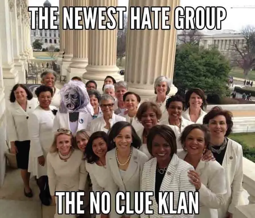 no clue clan1.webp