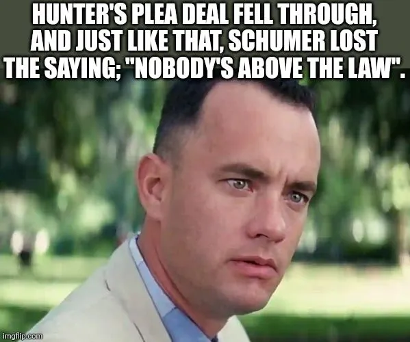 nobody is above the law.webp