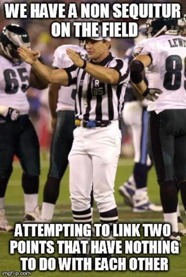 nonsequitur.webp