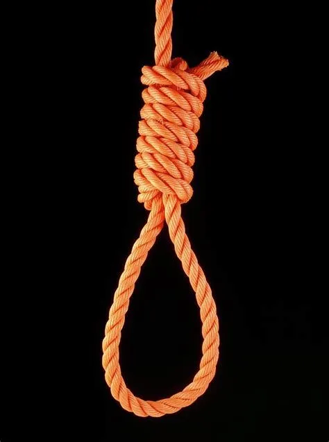 NOOSE real.jpg