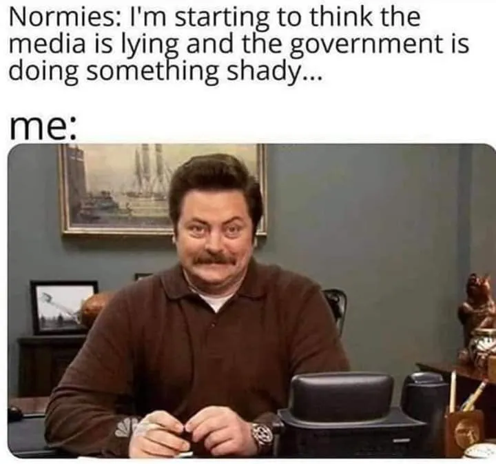 NormiesMeGrin.webp