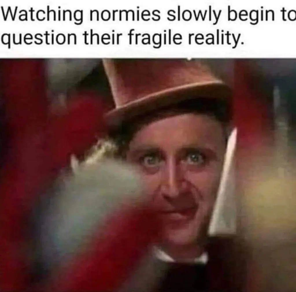normieswakeywakey.webp