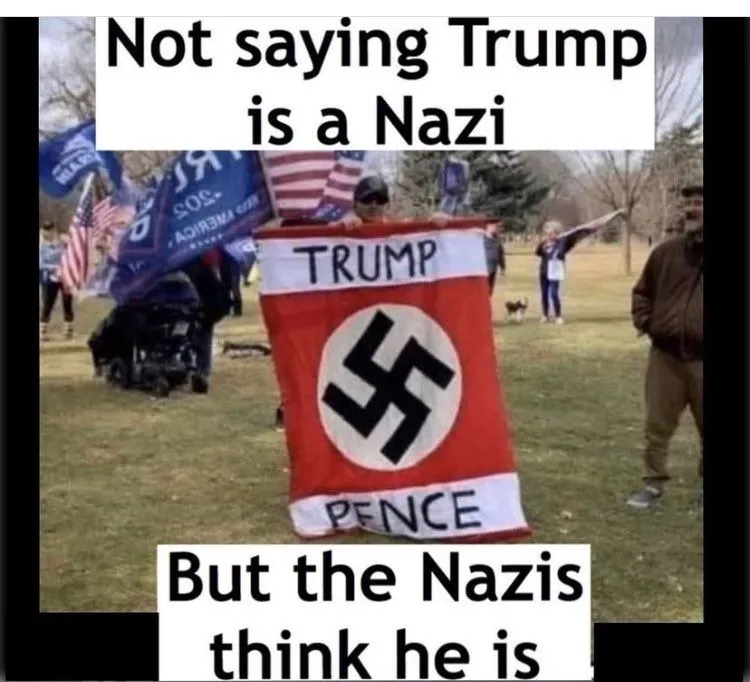 Not saying Trump is a Nazi.webp