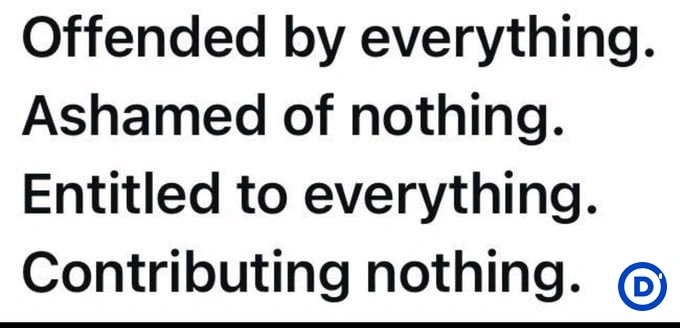 NOTHING CONTRIBUTED.webp