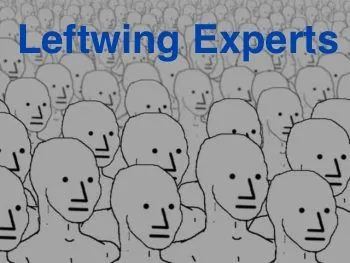 NPC Group Experts.webp