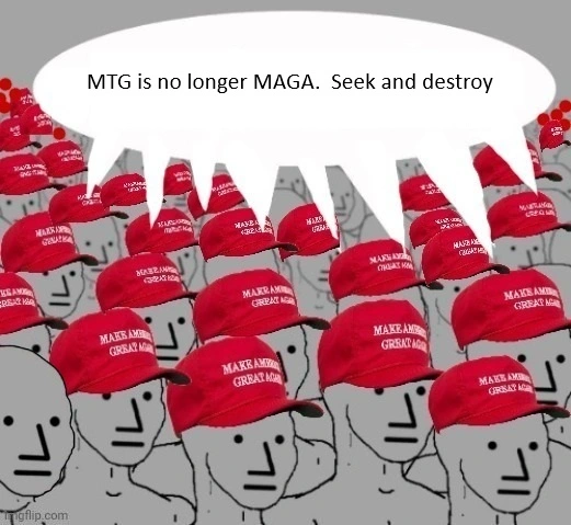NPC Maga.webp