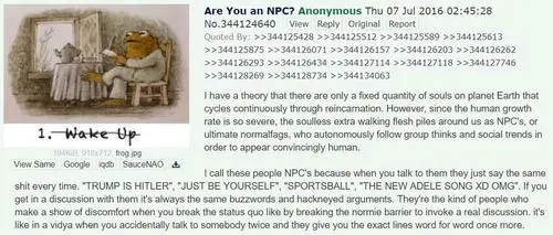 npc meme.webp