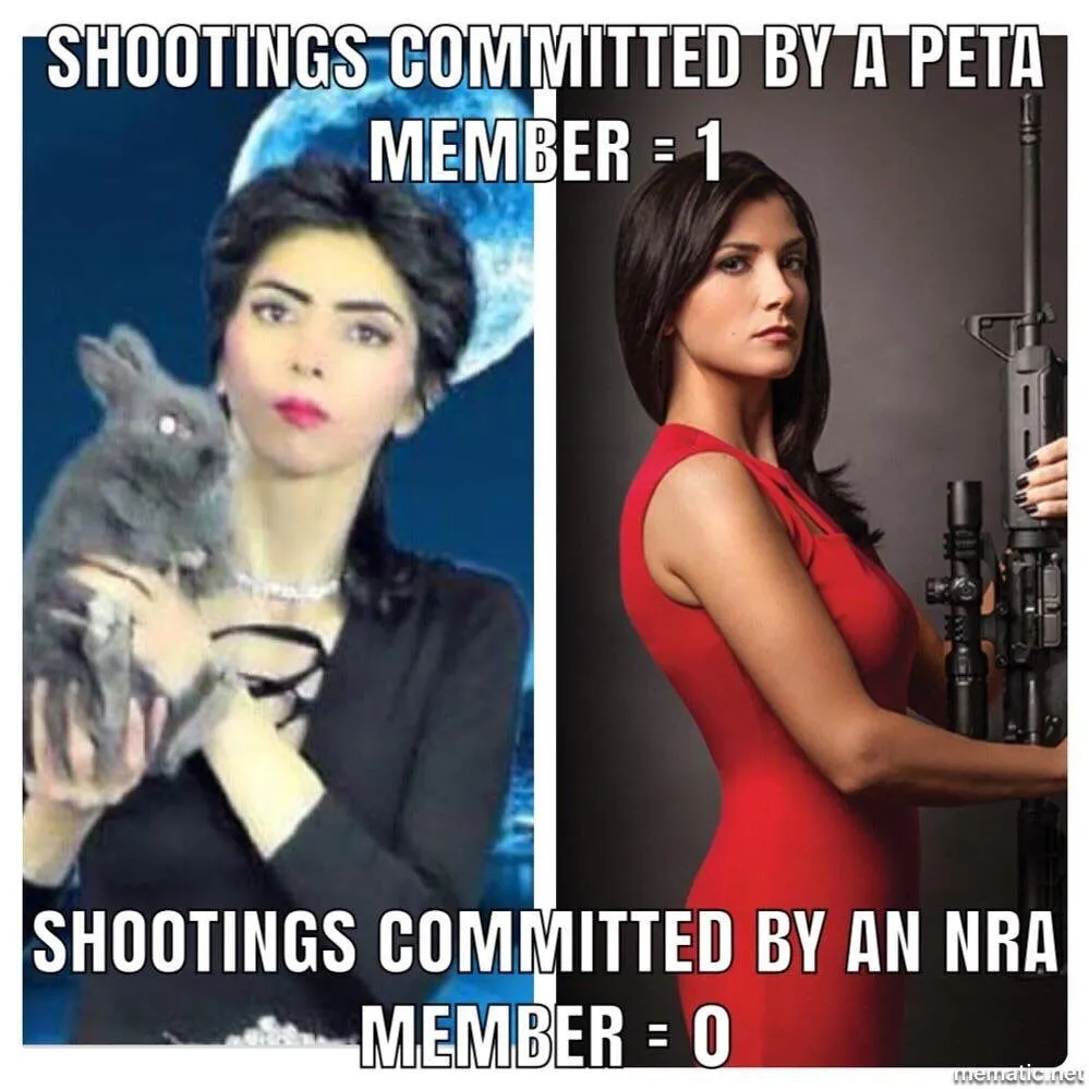 nra 1.webp