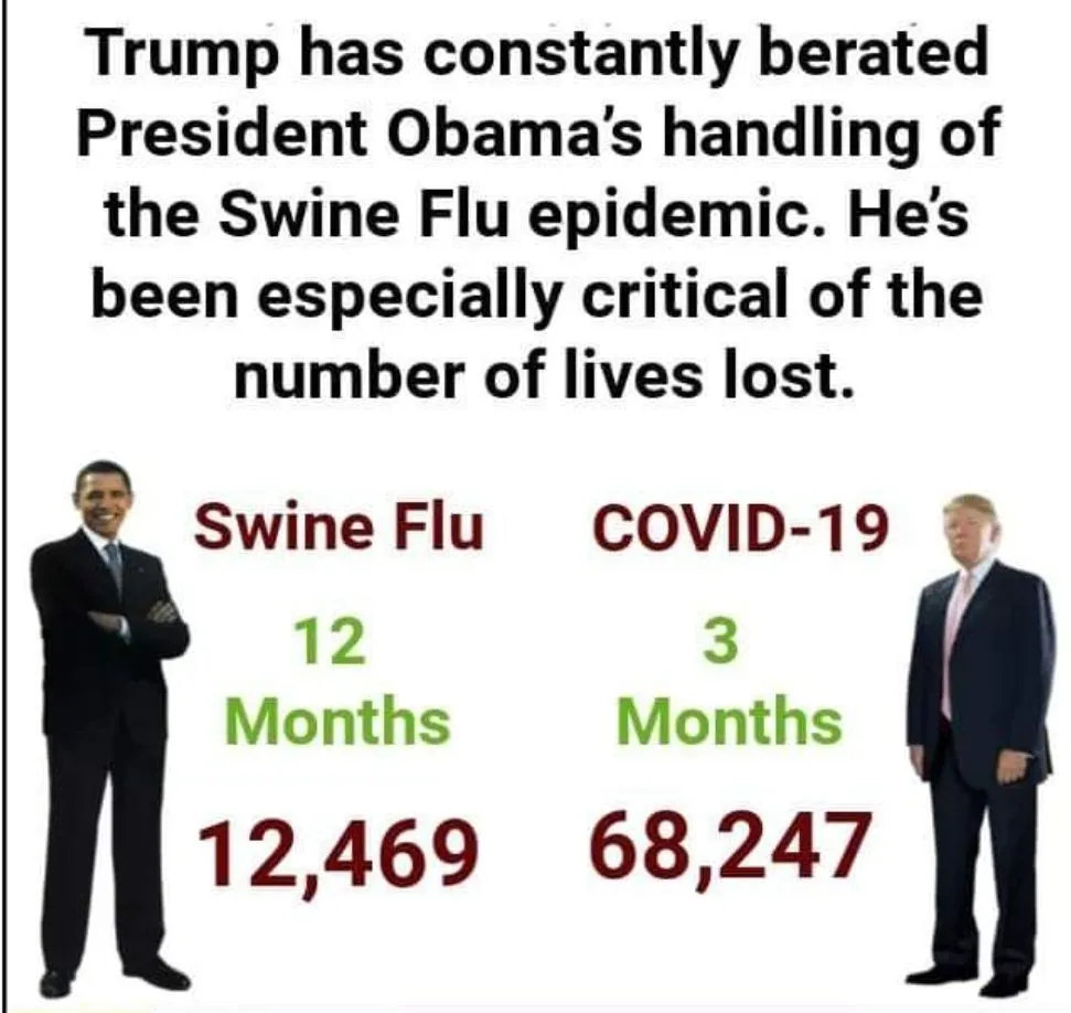 O_008obma.trg (1).webp