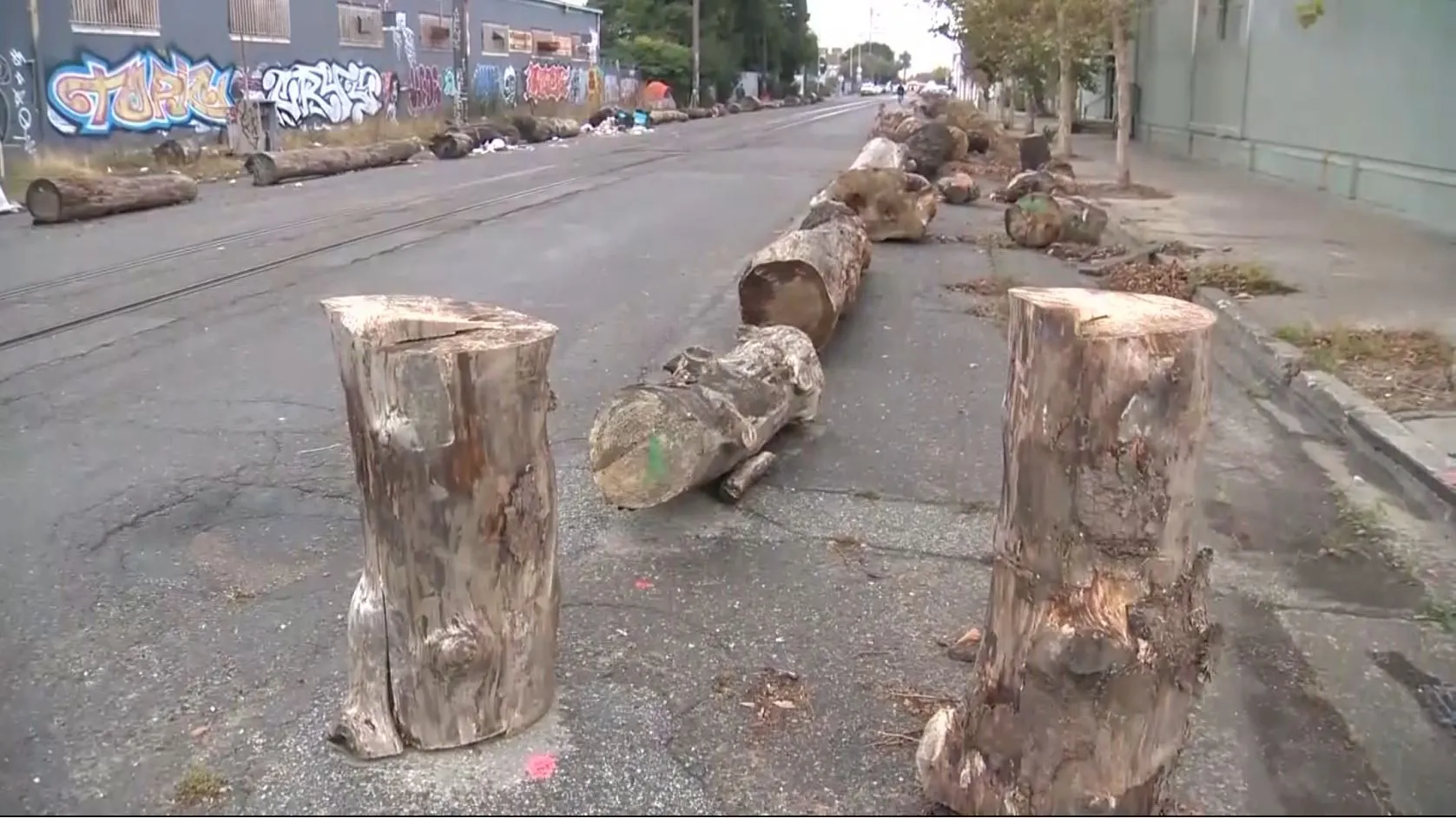 oakland-homeless-logs.webp