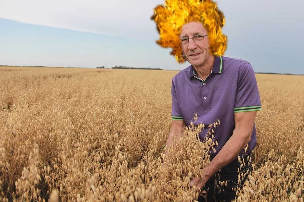 oat keepers.webp