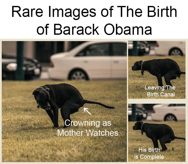 obama birff cert.webp