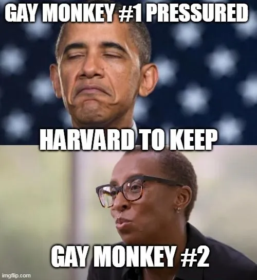 obama gay monkey 1.webp