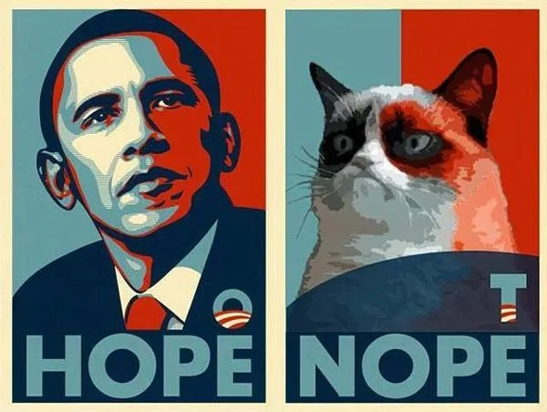 obama-hope-grumpy-cat-nope.webp