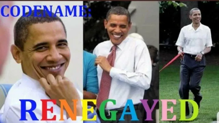 obama renegayed.webp