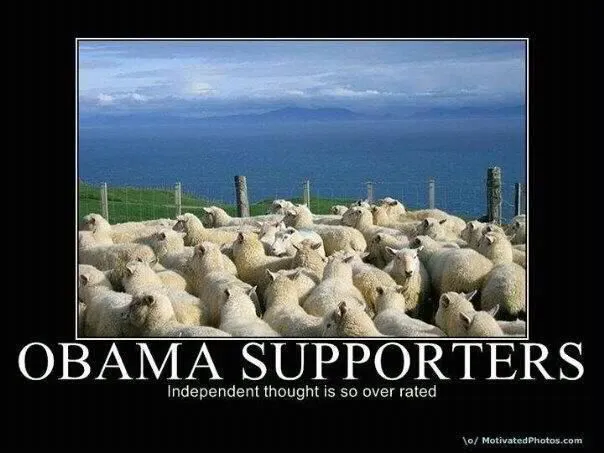 obama-sheep-105448234156.webp