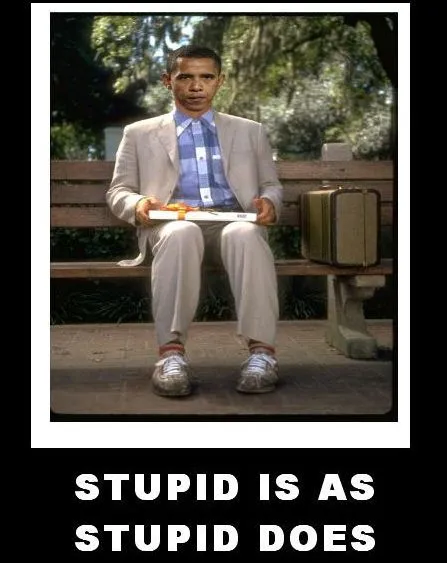 OBAMA-STUPID-IS-XXX.webp