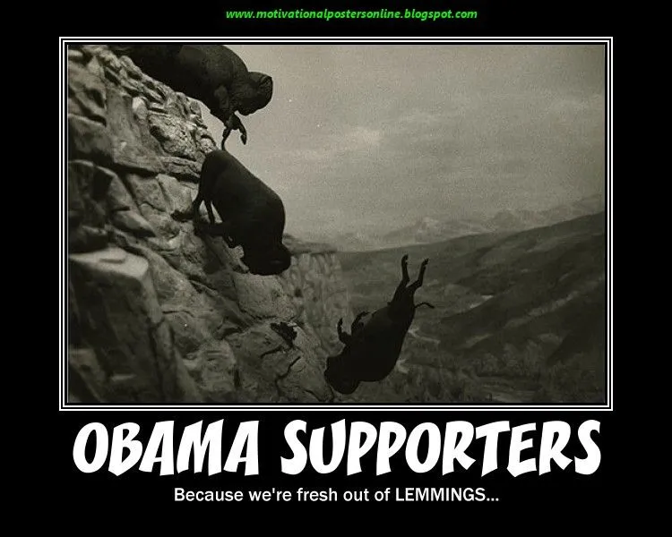 obama supporters lemmings cliff running run buffalo motivational.webp