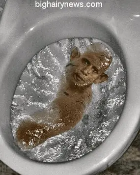 obama-turd.webp