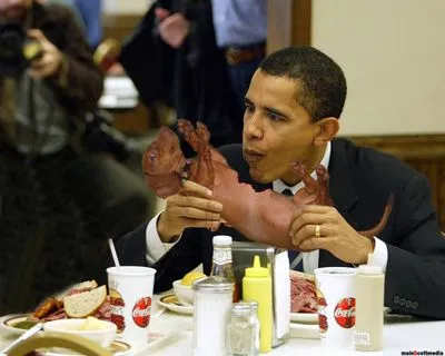 obamadog-7_iuxk5u.webp