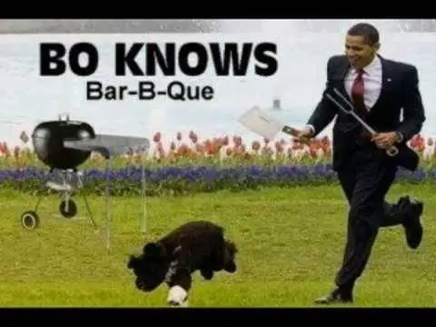 obamaeatsdogs.webp