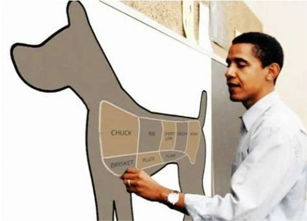 obamaeatsdogskajcakjhakjhkjahkahkadkjhadskdj.webp