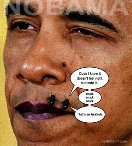 obammyflies.webp