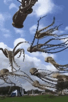 octopus kite.gif