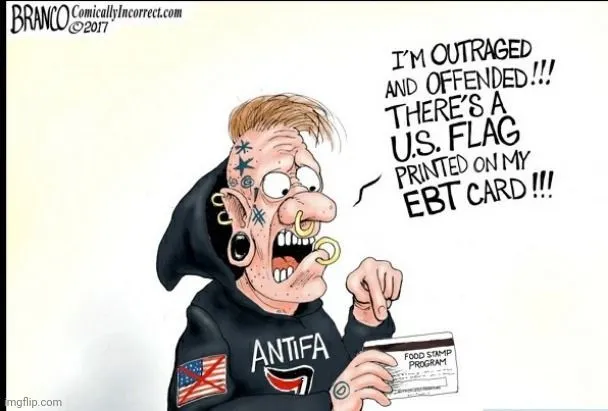 Offended by flag on welfare card.jpg