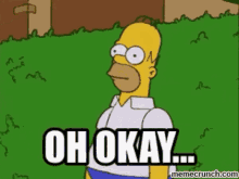 oh-okay-homer.gif