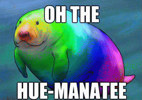ohthehumanity-manatee.gif