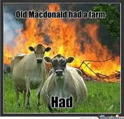Old mcdonald.webp