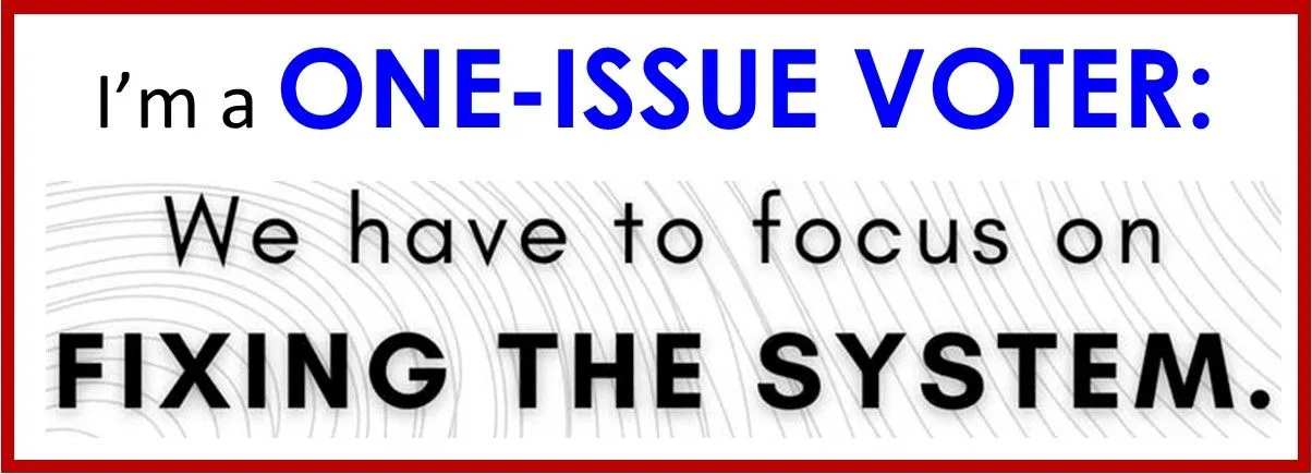 one issue voter.webp