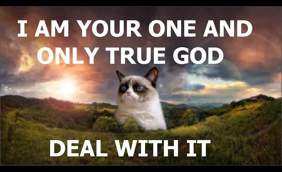 One true god - Grumpy Cat.webp