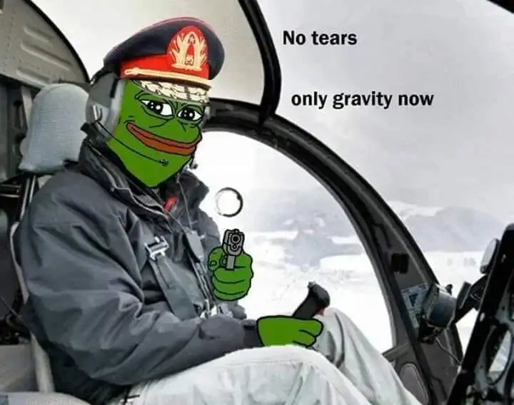 OnlyGravity.webp