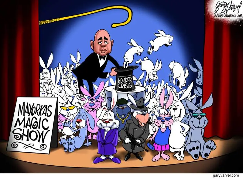 openbordercrisisdemsarecrooks.webp