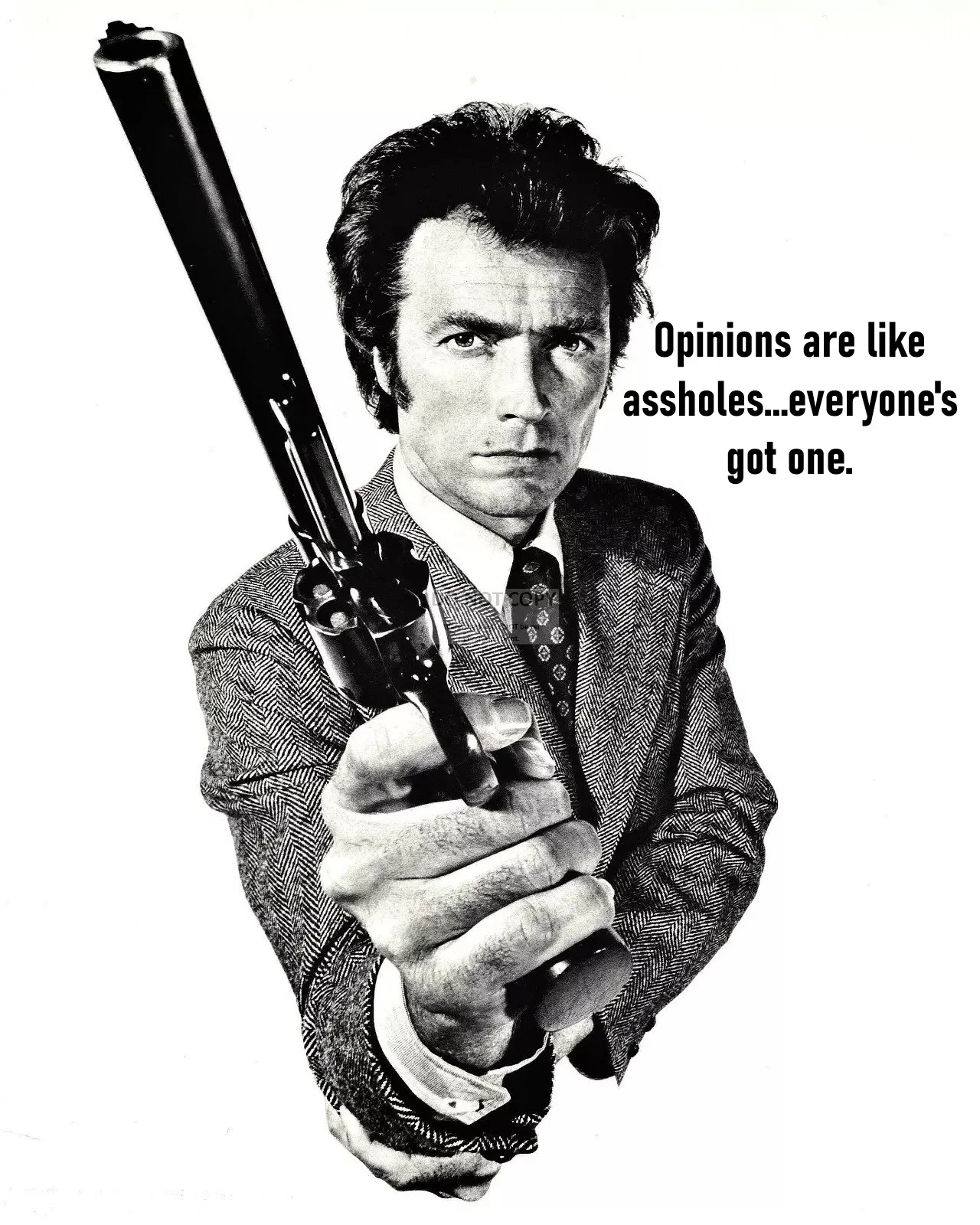 opinions.webp