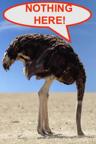 ostrich-with-head-in-sand_a-G-12466535-14258384.webp