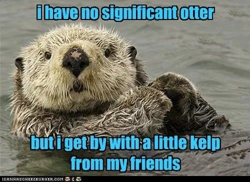OTTER - no significant otter.webp