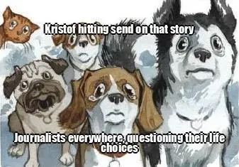 output_meme_20260512_155602_user_97455ag9m_1a95b04d.webp