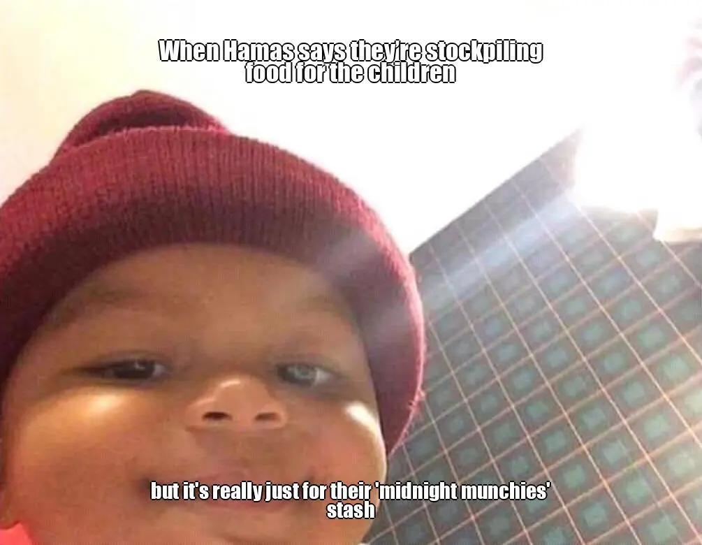 output_meme_20260513_161750_user_qgepdxr3d_2bcfa1d2.webp