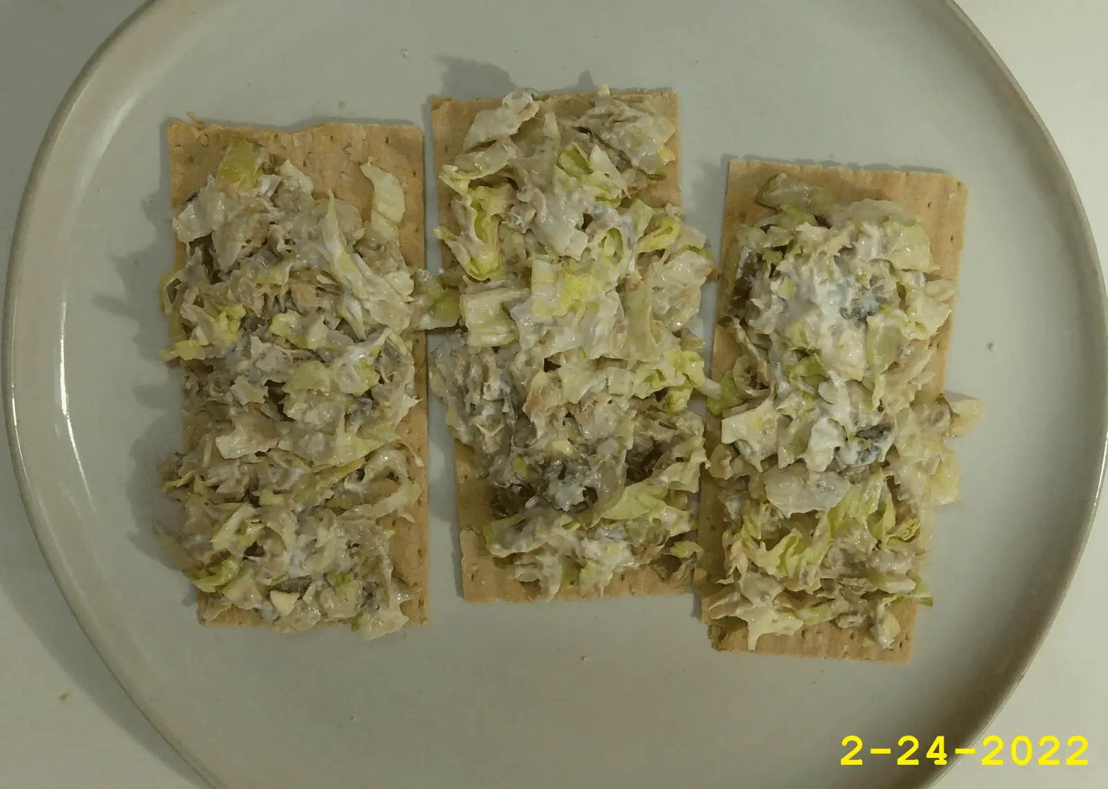 Oyster Tuna Lettuce Pickle Light Sour Cream.webp