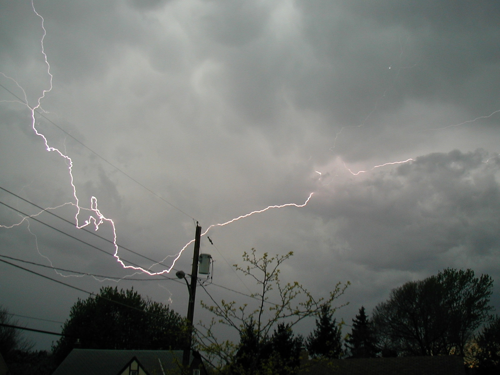 P4190835.webp